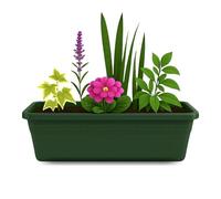 TECHZOCO Jardinera de plástico sin Plato, Balconera plástico, Macetero para Jardín, Fabricado en Polipropileno, Apto balcón, Patio, Interior/Exterior, 50 cm Largo x 15 cm Alto x 18 cm Fondo, Verde