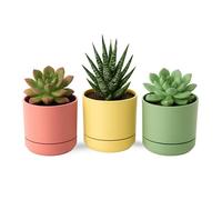 TECHZOCO Macetas para Cactus de plástico, Mini Maceteros Pequeños para platas, Macetas Decorativas, No Incluyen Las platas, Incluye Plato Integrado, 12 cm diámetro x 10.5 cm Alto, Pack 3 Unidades