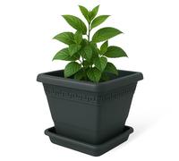 TECHZOCO Macetero con Plato, Maceta Cuadrada clásica de plástico con Plato, Tiesto para Plantas, Fabricado en Polipropileno (Antracita, 30 cm)