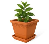 TECHZOCO Macetero con Plato, Maceta Cuadrada clásica de plástico con Plato, Tiesto para Plantas, Fabricado en Polipropileno, 20 cm Altura x 25 cm Ancho, Terracota