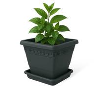 TECHZOCO Macetero con Plato, Maceta Cuadrada clásica de plástico con Plato, Tiesto para Plantas, Fabricado en Polipropileno, 17 cm Altura x 20 cm Ancho, Antracita