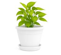 TECHZOCO Macetero con Plato, Maceta Redonda clásica de plástico con Plato, Tiesto para Plantas, Fabricado en Polipropileno, 33 cm Altura x 42 cm Diámetro Superior x 23 cm Diámetro Base, Blanco