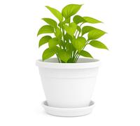TECHZOCO Macetero con Plato, Maceta Redonda clásica de plástico con Plato, Tiesto para Plantas, Fabricado en Polipropileno, 17 cm Altura x 22 cm Diámetro Superior x 12 cm Diámetro Base, Blanco.