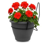 TECHZOCO Macetero con Soporte de Pared, Maceta Redonda plástico, Tiesto Colgar Flores, Fabricado en Polipropileno, Recipiente Pared para Flores, 25 cm diámetro x 14 cm Base x 19.5 cm Alto, Antracita