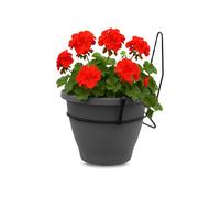 TECHZOCO Macetero con Soporte de Pared, Maceta Redonda plástico, Tiesto Colgar Flores, Fabricado en Polipropileno, Recipiente Pared para Flores, 18 cm diámetro x 16 cm Base x 18 cm Alto, Antracita