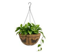 TECHZOCO Macetero de Coco Colgante, Maceta de Coco diseño Mariposas, Tiesto Colgar Flores, Fabricado en Fibra de Coco y Metal, Recipiente Pared para Flores, 20 cm diámetro x 11 cm Alto
