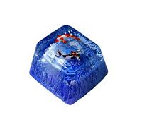 Tecla de resina OEM/R4 de altura adecuada para interruptor MX, delicadas teclas de resina grabadas a mano para teclados mecánicos (azul)