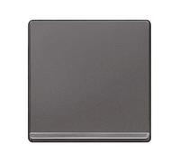 Tecla decorada en cromo en carbono | Siemens Delta MIRO 5TG62705CC00