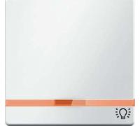 Tecla indicador luminoso y símbolo luz, series berker Q.x de hager, blanco polar