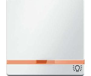 Tecla indicador luminoso y símbolo luz, series berker Q.x de hager, blanco polar
