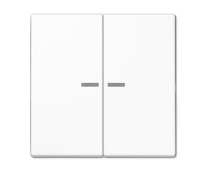 Tecla pulsador doble con visor LS, color blanco alpino (referencia: JUNG LS102KO5WW)