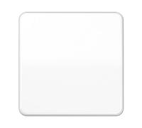 Tecla pulsador simple CD, color blanco alpino (referencia: JUNG CD101WW)