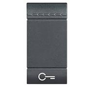 Tecla símbolo llaveiluminable1 móduloBTICINO Livinglight L4915FNAntracita