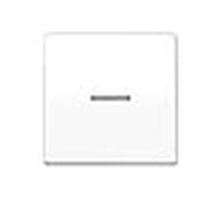 Tecla simple con visor as, color blanco alpino (referencia: jung as591