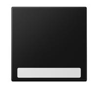 Tecla simple con visor/inscr LS, color negro mate (referencia: JUNG LS990NASWM)