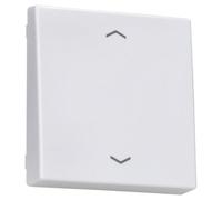 Tecla simple pulsador persiana A, color blanco alpino (referencia: JUNG A101PWW)
