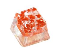 Teclado de Flores secas, Teclas de Teclado con Retroceso de Resina | Tecla de Perfil Gypsophila Sa - Teclado de Juego de Resina, translúcido Que Brilla, R4, Esc para Teclado mecánico, Flor