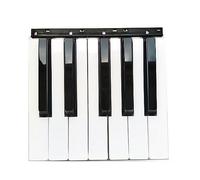Teclado de repuesto para teclado Korg PA500, PA600, PA700, PA300 (12 teclas, negro y blanco)