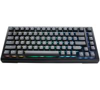 Teclado Mecânico Ducky Tinker65 75% RGB Black MX Blue (ES)