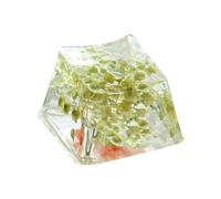 Teclas de teclado de flores secas, teclas de teclado con retroceso de resina | Teclas de teclado Gypsophila, reemplazo de bricolaje, teclas Esc translúcidas Teclas R4 que brillan a través de flores et