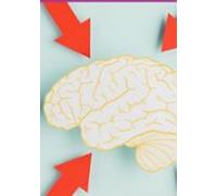 Técnicas De Como Mudar Os Maus Habitos No Cérebro (ebook)