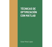 TÉCNICAS DE OPTIMIZACIÓN CON MATLAB