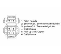 TECNIUM Caja CDI Honda XR 600