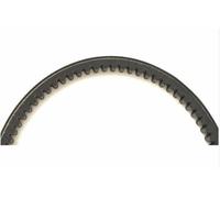 Correa de distribución VICMA VIC-CT019