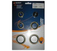 TECNIUM Juego de sellos del husillo del motor, tamaño 230 mm