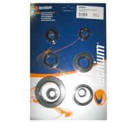 TECNIUM Juego de sellos del husillo del motor, tamaño 230 mm