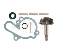 TECNIUM Kit de Revisión Bomba de Agua Rieju RS1 50 1992-2001
