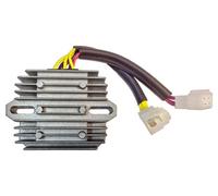 TECNIUM Varios triunfos