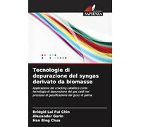 Tecnologie di depurazione del syngas derivato da biomasse: Applicazione del cracking catalitico come tecnologia di depurazione dei gas caldi nel processo di gassificazione dei gusci di palma