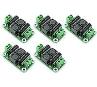 TECNOULAB 5 uds 0-50V 4A DC Fuente de alimentación Placa de Filtro Amplificador Clase D supresión emi de Coche