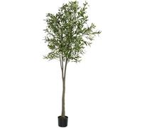 TecTake® Olivo Artificial Grande con Tronco de Árbol, Hojas y Olivas Realistas, Planta Artificial Grande para Decoracion Salon, Plantas Artificiales Grandes, Plantas Decorativas - 210 cm de Alto