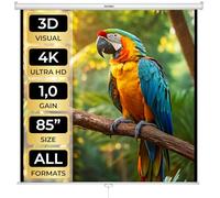 tectake® Pantalla proyector Enrollable, Montaje en Pared y Techo, ángulo de visión 125°, Doble Capa sin Arrugas, formatos 1:1, 4:3, 16:9, Pantalla proyector, proyector Pantalla - 203 x 203 cm 110"