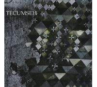 Tecumseh - Avalanche & Inundation
