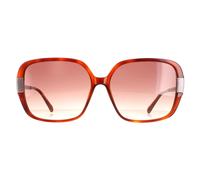 Ted Baker Gafas de Sol TB1616 Indi 307 Carey Marrón Degradado