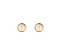 Ted Baker Pendientes 'SINAA' oro / transparente One Size oro / transparente