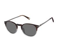 Ted Baker TMS203 - Gafas de sol redondas polarizadas para hombre, 51 mm, protección UV400, cuerno marrón, 51 mm