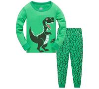 TEDD Pijamas Niño Dinosaurio Animales Cars Algodon Ropa a Juego Conjunto Edad 3-4 Años