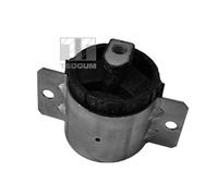 TEDGUM 00726345 SOPORTE DE LA CAJA DE CAMBIOS (TRASERO)