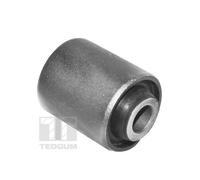TEDGUM Casquillo cojinete, brazo oscilante para HYUNDAI: Sonata, Sonica, XG & KIA: Magentis, Opirus & RENAULT: R21 & NISSAN: Micra (Ref: 00125301)