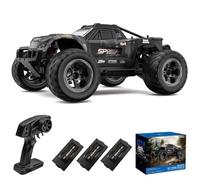 Teeggi Coche teledirigido 50 km/h, 1:10 RC de alta velocidad Offroad Drift Carreras, motor de alta velocidad 2.4G 4WD Off Road Race Buggy para adultos, 3 pilas (gris)