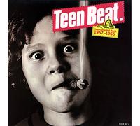Teen Beat - Instrumental Rock 1957-1965 (LP)