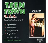 Teen Town Usa, Vol. 22 (Big Dee Irwin-Travelers-Treasures And More)