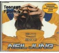 Teenage Fanclub - Neil Jung