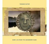 Teenage Guitar - More Lies From The Gooseberry Bush