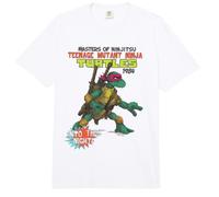 Teenage Mutant Ninja Turtles Into The Night Cover Comfort Colors Adult Heavyweight T-Shirt