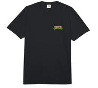 Teenage Mutant Ninja Turtles Logo & Bros Green Front Back Comfort Colors Adult Heavyweight T-Shirt